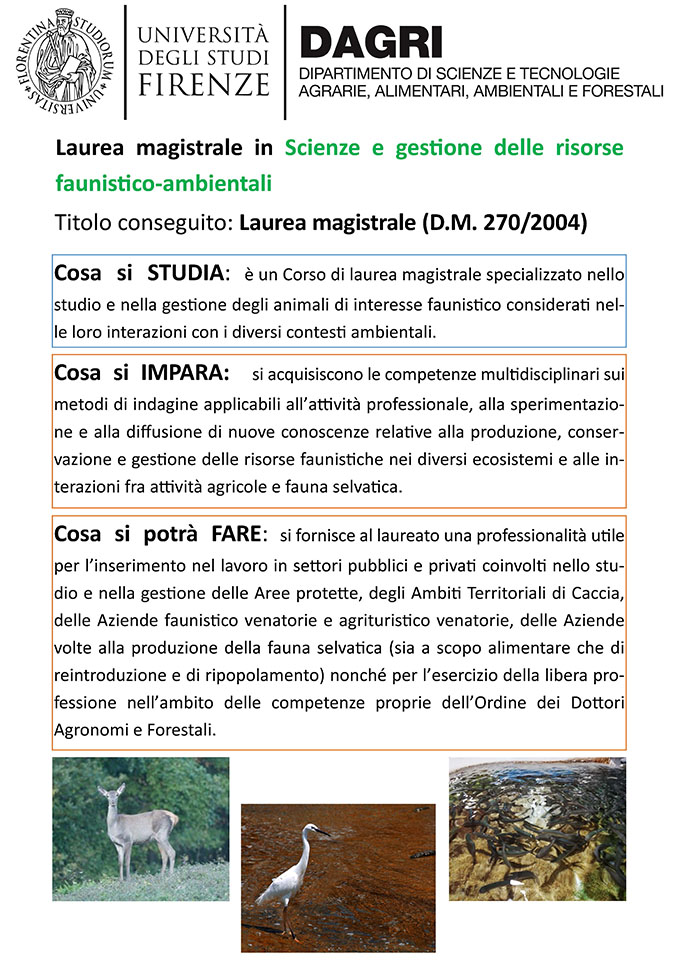 poster corso